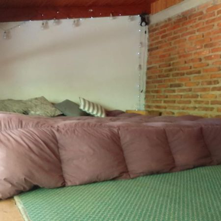 דירות San Martín de los Andes Casita En La Montana מראה חיצוני תמונה