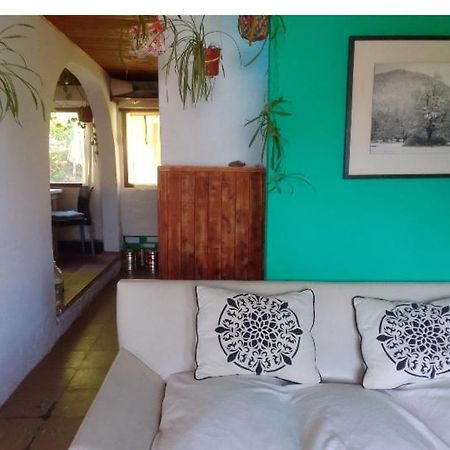 דירות San Martín de los Andes Casita En La Montana מראה חיצוני תמונה
