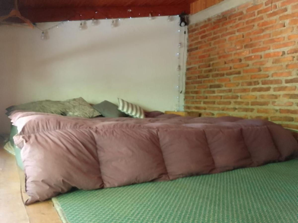 דירות San Martín de los Andes Casita En La Montana מראה חיצוני תמונה