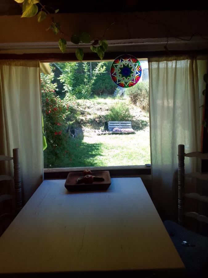 דירות San Martín de los Andes Casita En La Montana מראה חיצוני תמונה